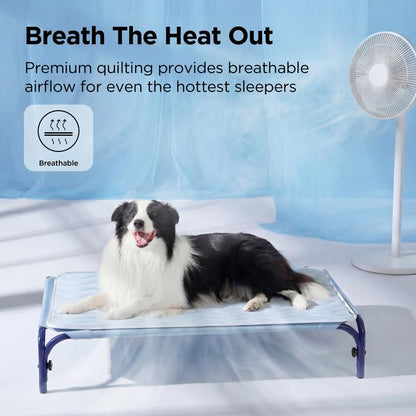 Cooling Thin & Thick Mat for Dogs
