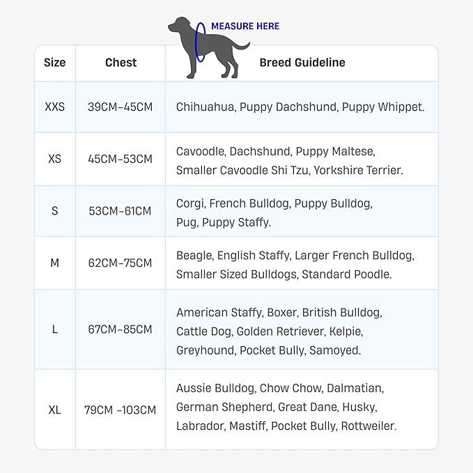Dog Friendly Harness