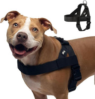Dog Friendly Harness