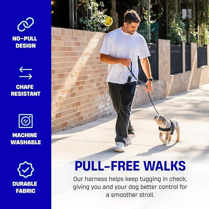 Dog Friendly Harness